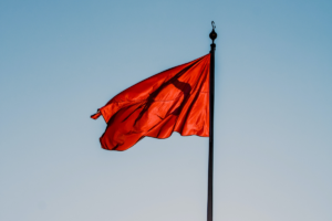 RED FLAGS for AUTISM